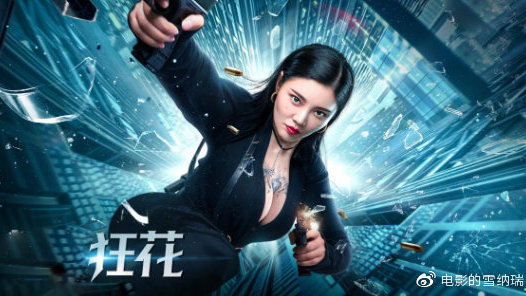 仿制假塞舌尔签证